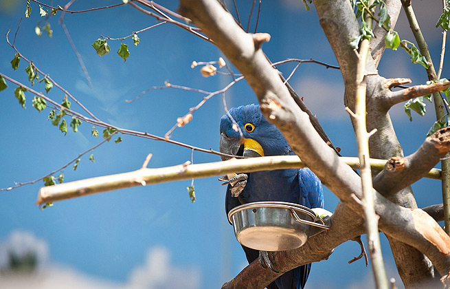 网络ddos攻击软件