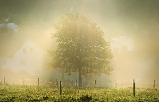 自动攻击网站工具下载