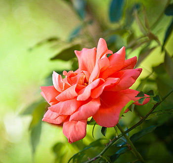 平台在线ddos压力测试