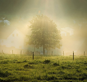 ddos攻击测试工具